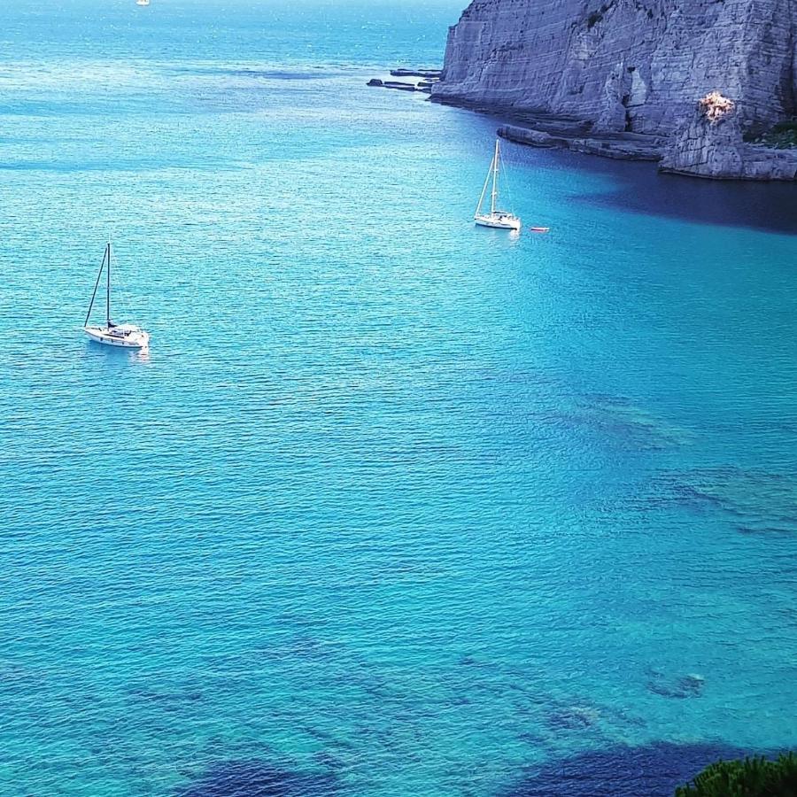 ميتا B&B Mediterranea المظهر الخارجي الصورة